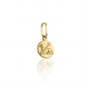 Pingente Agnus Dei 0,50g Ouro Amarelo 18k - Coleção Fe Santos