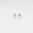 BRBOT5BPP-BRINCO Botao 4,80MM 14 Brilhantes 0,24CT G VS1 G H VS1 VS2 1,17G Ouro Branco 18K - Coleçao Botao