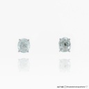 Brinco 2 Turmalinas Paraiba Oval 1,05ct 1,94g Ouro Branco 18k - Coleção Sara e Antonio